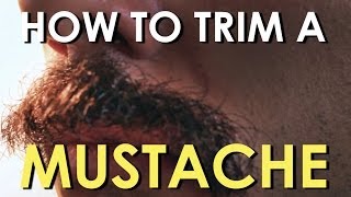 How to Trim Your Mustache  The Art of Manliness [upl. by Norihs543]