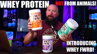 Whey Protein Replacement… Animal FREE Myprotein Whey Forward [upl. by Nairad]