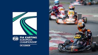 FIA Karting European Championship 2018 OK and Junior Essay Sunday [upl. by Keung]