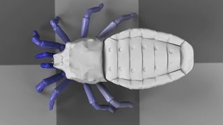 Extinct spider resurrected Ancient spiderlike bug recreated using CGI techniques [upl. by Naamann]