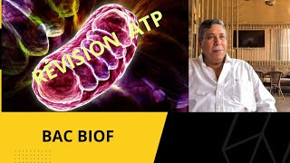 BAC 2O24 BIOF SVT  LA CHAINE RESPIRATOIRE LA PHOSPHORYLATION OXYDATIVE [upl. by Ameehs685]