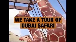 We take a tour of Dubai Safari [upl. by Doner]