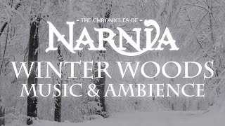 Chronicles of Narnia  Winter Woods Music amp Ambience  Relaxing Music with Sounds of Winter [upl. by Roye]