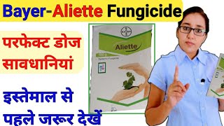 Bayer Aliette Fungicide  how to use aliette fungicide  aliette fungicide dose  Fosetyl Al 80 wp [upl. by Ruenhcs]