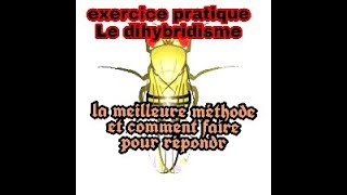 exercice sur le dihybridisme la meilleure méthode à suivre pour résoudre les problèmes [upl. by Aleibarg]