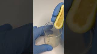 Lemon vs Bacteria health microscope interesting [upl. by Adnylam]