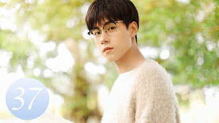 ENG SUB【Unrequited Love 暗恋橘生淮南】EP37｜Chinese Romantic Drama Starring Hu Yitian amp Hu Bingqing [upl. by Sherman]