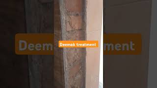 Manjeet Pest Control call 884765 6942 Best deemak treatment [upl. by Olen470]