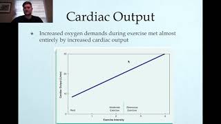 Blood Flow to the Heart During Exercise [upl. by Eecram]