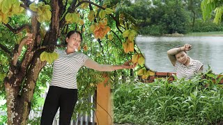 The Hardship of Harvesting Water Spinach on a Rainy Day120 Days Harvesting Star Fruits for Sale [upl. by Enidanreb362]