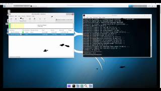 Resize Kali Linux Partition for Raspberry Pi [upl. by Thor]