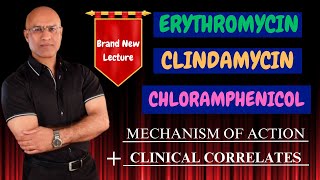 Clindamycin  Erythromycin  Chloramphenicol  MOA amp Clinical Correlations🩺 [upl. by Chitkara457]