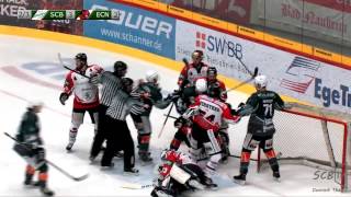 33Spieltag Bietigheim Steelers vs EC Bad Nauheim 30122013 [upl. by Nibbs]