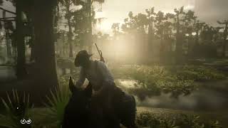 Red Dead Redemption 2 Ambience Picking Cigar Orchids in Bayou Nwa [upl. by Aida]