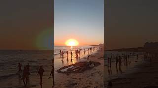 ¡Espectacular Atardecer en la Playa de Rota 🌅  16 de Agosto 2024 Playa Llena y Mucho Calor [upl. by Hunfredo]