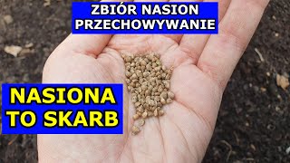 Gromadź Nasiona Zwiększ Niezależność Jak Zbierać i Przechowywać Nasion Warzyw Nasiona F1 Pomidory [upl. by Hawkins]