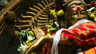 Shree Rudram in ghanam mode part 1 of 3 [upl. by Catlin778]