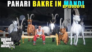 PAHARI BAKRE 🐐 BHI AGAYE  MANDI SERIES  GTA 5 GAMEPLAY [upl. by Gannon]