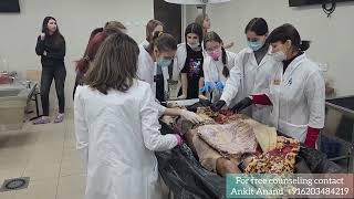 🔴 Cadaver Dissection Live  Samara State Medical University [upl. by Aniger759]