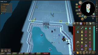 OSRS  Frozen Door  Zilyana Guide  Solo Ranged Method [upl. by Procto]