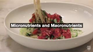 Mayo Clinic Minute The difference between micronutrients and macronutrients [upl. by Courcy]