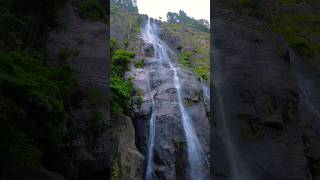 The tallest waterfall in SriLanka travel waterfalls nature viral shorts fyp foryou fy [upl. by Ennaul]