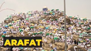 Parmi les mérites du jour de Arafat [upl. by Susejedairam313]