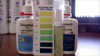 How to Test Phosphates Episode in a Saltwater Reef Tank 16 pt 3 [upl. by Arriaes63]