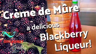 Creme de Mure 🍷 delicious blackberry liqueur recipe [upl. by Selene]