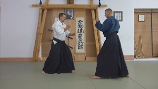 Aikido  Punch and Kicks defense [upl. by Kobylak]