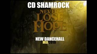 NEVER LOSE HOPE  ALKALINE  THRONE  KOFFEE  NEW DANCEHALL  MIX 2019 CD SHAMROCK [upl. by Abell1]