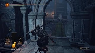 Vengeance On Unbreakable Patches  DARK SOULS III [upl. by Acnoib]