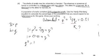 HardyWeinberg Calculations [upl. by Halas553]