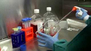 Cell suspension culture  Technique involved  Notes  Procedure  Bioreactor  Bio science [upl. by Ahsinauq]