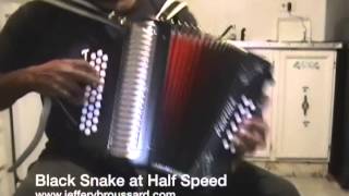 Black Snake in My Room  Zydeco Accordion Lesson 3 Row [upl. by Kyred505]