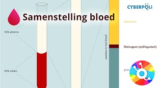 Samenstelling  Bloed [upl. by Ijneb]