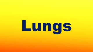 Lungs Definition and Functions [upl. by Seiber]