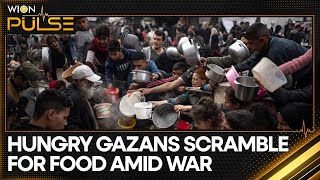 Gaza Food Crisis Soaring Food Prices Deepen Gazans Plight  WION Pulse  World News [upl. by Ganny]