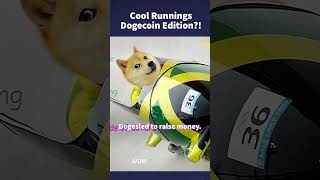 Doge Got The Jamaican Bobsleigh Team To The Olympics [upl. by Stine227]