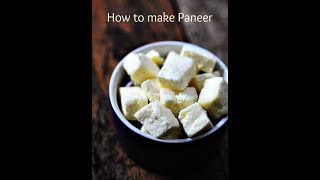 how to make paneer at home within 5 Minute [upl. by Betteanne]