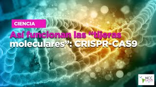 Así funcionan las “tijeras moleculares” CRISPRCAS9 [upl. by Goeger878]