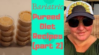 Pureed Diet Recipes Part Two  Bariatric Diet Options [upl. by Silenay150]