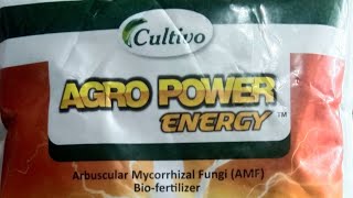 Arbuscula Mycorrhizal Fungi  Bio Fertilizer [upl. by Annamarie]