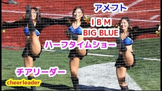 アメフト Ｘリーグ IBM BIG BLUE チアリーダー ハーフタイムショー チアダンス cheerleader [upl. by Acnoib]