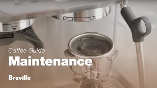 The Barista Express®  How to perform a cleaning cycle on your espresso machine  Breville AU [upl. by Enuahs]