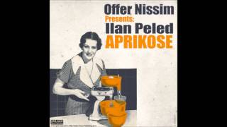 Offer Nissim Presents Ilan Peled  Aprikose Offer Nissim Remix [upl. by Joliet]