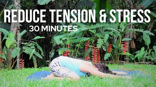 Relieve Stress Beginner Yoga  30 Minutes  Easy Class [upl. by Jennica242]