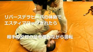 Budo Jake｜Estima Lock Defense｜エスティマロックのディフェンス ブドー・ジェイク先生 [upl. by Eiramait]