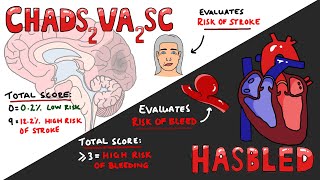 CHADSVASC vs HASBLED  Total Scores amp Interpretation What do they mean [upl. by Yelknirb41]