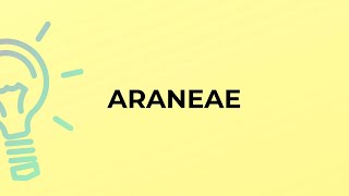 What is the meaning of the word ARANEAE [upl. by Assen]